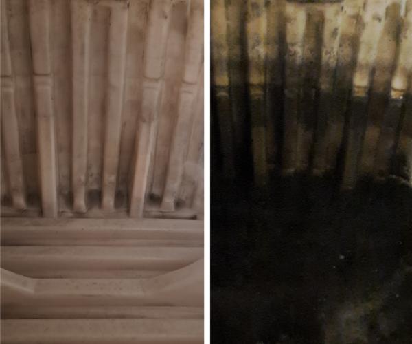 State Certified Well & Pump Production Reports in Walsenburg